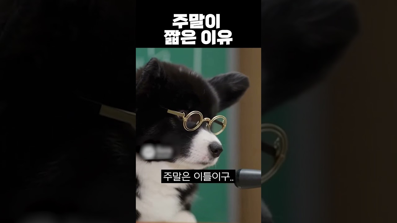 주말이 짧을수밖에 없는 이유...