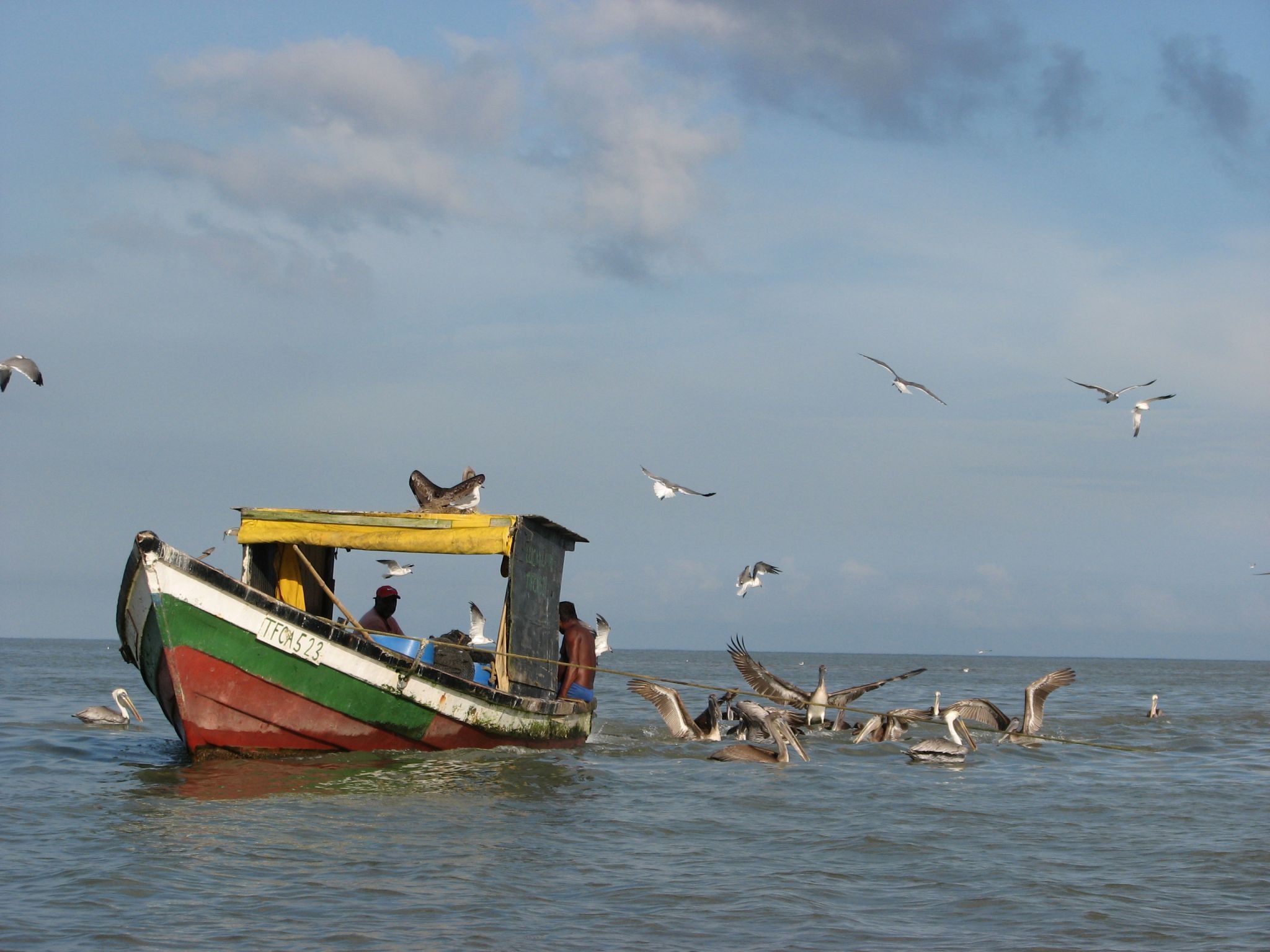 IMA Collaboration for Improved Coastal Planning