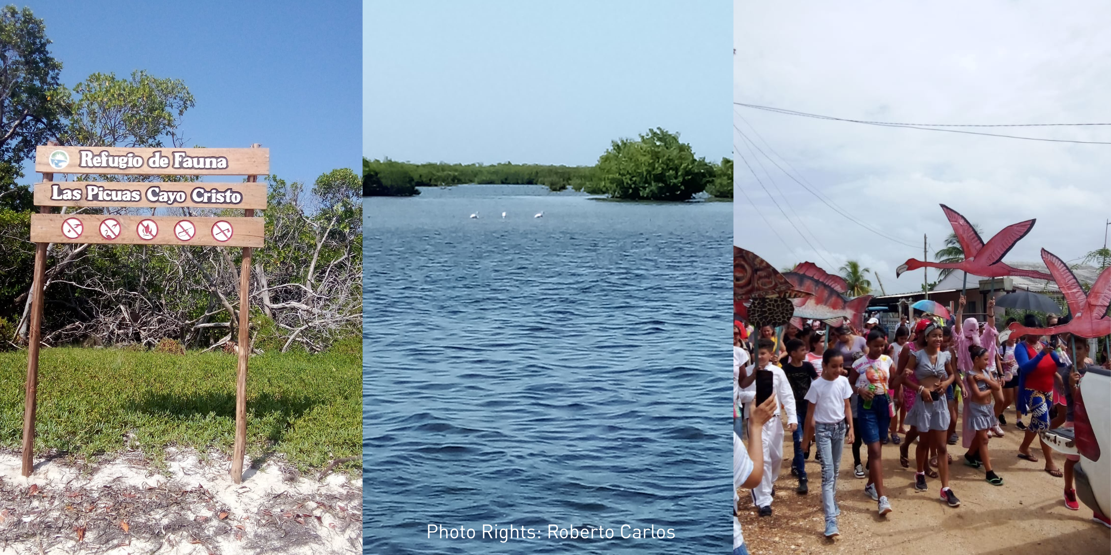 Untitled Banner Landscape