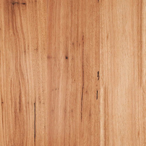 Blackbutt Gloss