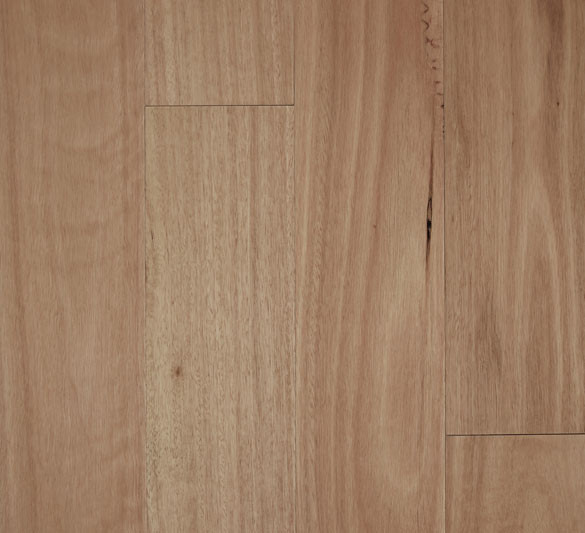 Blackbutt - Smooth Semi Gloss