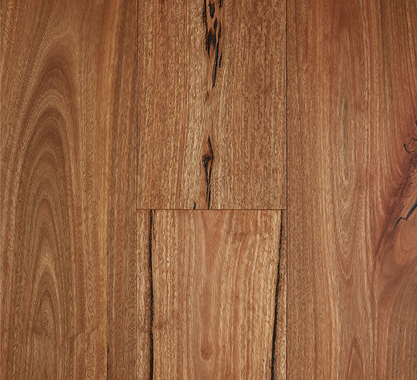 Spotted Gum Rustic – Brushed Matte, 3mm TG