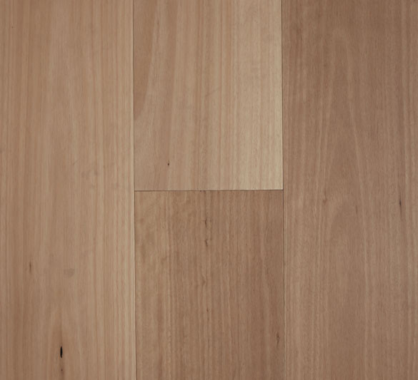 Blackbutt – Smooth Matte, 3mm Click