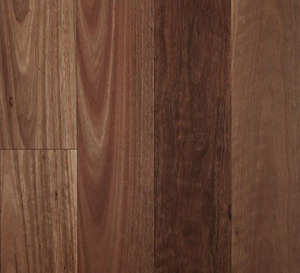 Spotted Gum – Smooth Semi-Gloss, 0.6mm Click