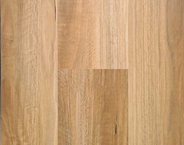 Spotted Gum Hybrid Flooring