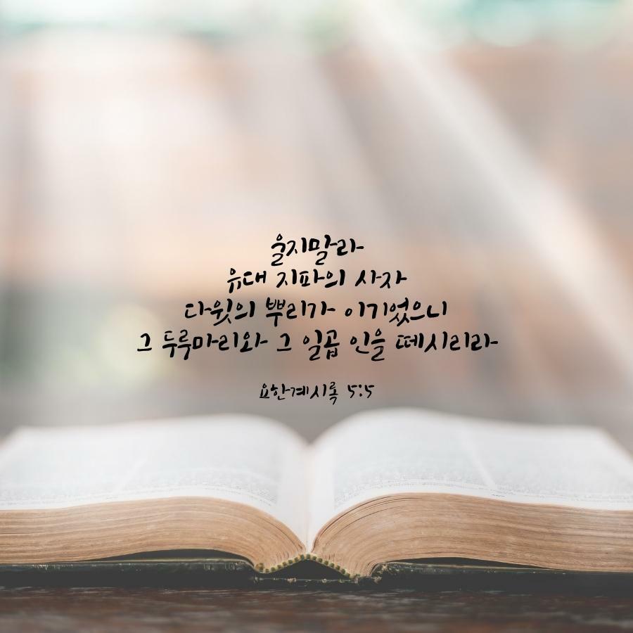 12/20/2021(월) 말씀을 걷다, 요한계시록 4-6장 12/20/2021(월) 말씀을 걷다, 요한계시록 4-6장