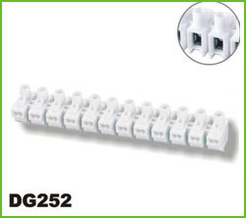 DG252