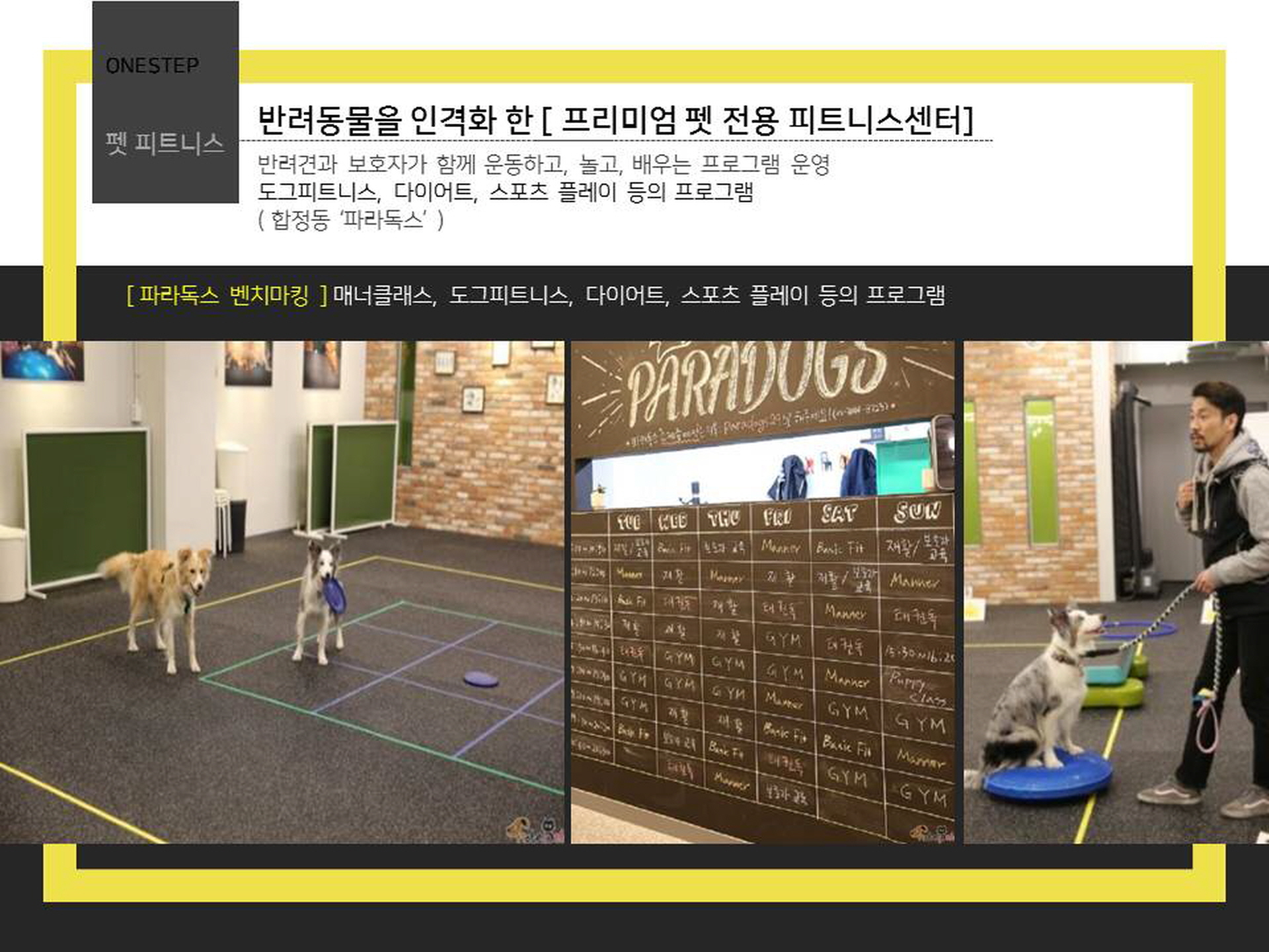애견호텔 디오크 펫도무스 피트니스
