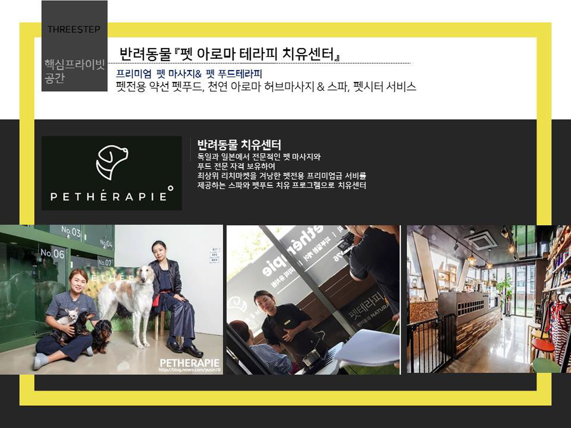 애견호텔 디오크 펫도무스 치유