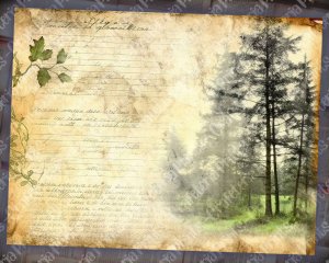 Forest Background Digital Junk Journal Forest Collage Printable Nature Journal Paper Perfect for Invitations, Digital Planners