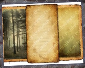 Forest Background Digital Junk Journal Forest Collage Printable Nature Journal Paper Perfect for Invitations, Digital Planners