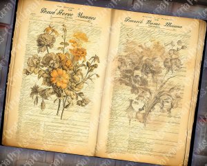 Watercolor Illustration Lined Paper Marigolds Floral Theme Vintage Flowers Wallpaper for Junk Journal, High Quality Detailed Scrapbook Pages