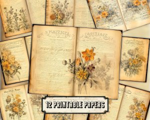 Watercolor Illustration Lined Paper Marigolds Floral Theme Vintage Flowers Wallpaper for Junk Journal, High Quality Detailed Scrapbook Pages