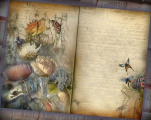 26 pages of Meadow Fauna and Wild Flowers, vivid colors, shabby chic ephemera, scrabooking background, perfect for invitations