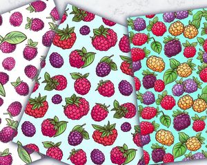 Cute Raspberry & Blackberry Clipart, Doodle Style Watercolor Illustration, Seamless Texture, Hand Drawn Vector, Vivid Colors, High Quality