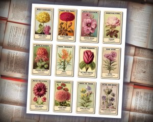 11 papers | Vintage Floral Scrapbooking Kit | Printable Shabby Chic Journaling Pages | Perfect for Invitations & Junk Journals