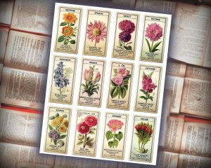 11 papers | Vintage Floral Scrapbooking Kit | Printable Shabby Chic Journaling Pages | Perfect for Invitations & Junk Journals