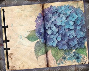 Beautiful Watercolor Vintage Junk Journal Single Page with Black Hydrangea Flowers | Printable Template Paper for Invitations