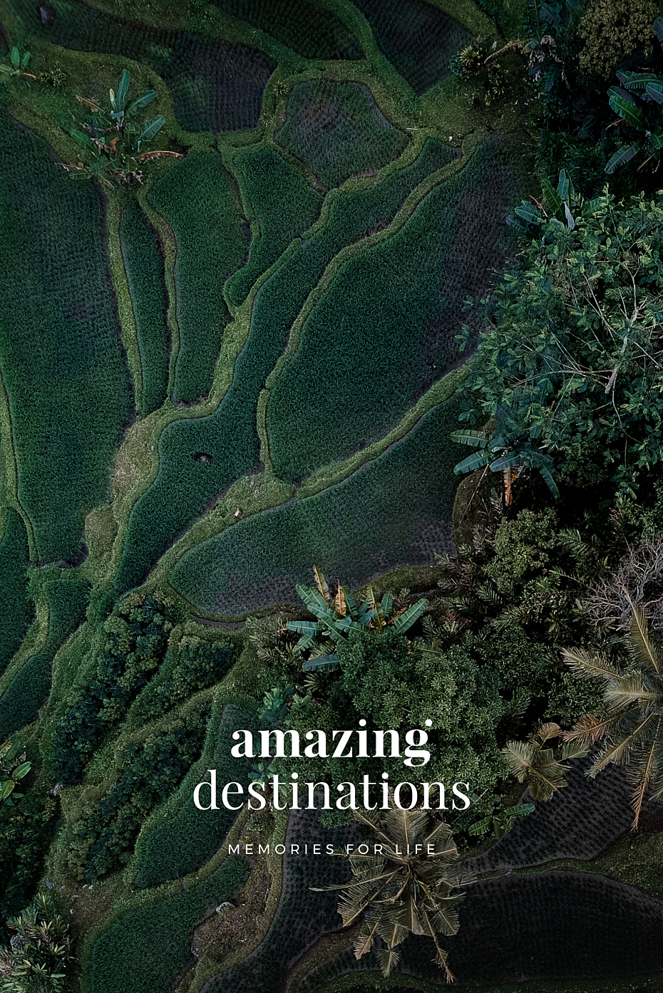 AMAZING DESTINATIONS BEELD