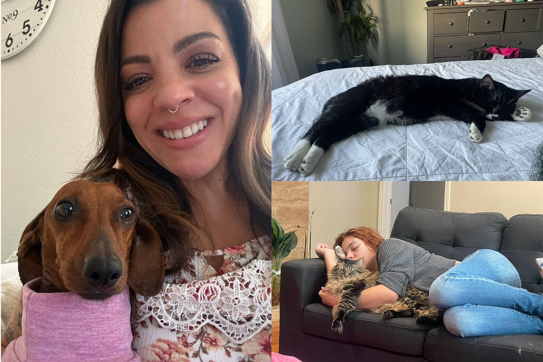 Photo collage of a woman holding her dog, another photo of a woman holding her cat, and a cat sleeping on a bed.