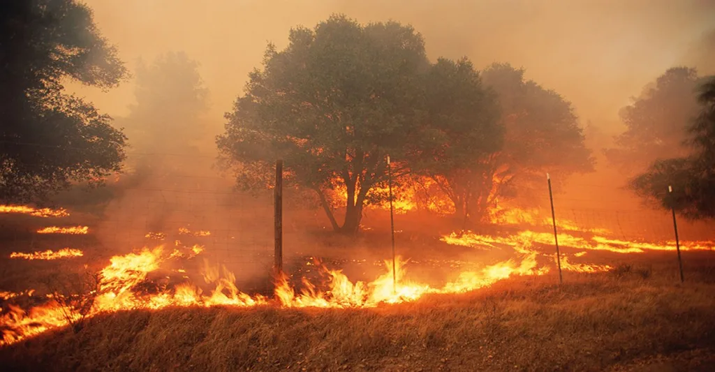 California-fire-FB-GettyImages-200159463-001.jpg