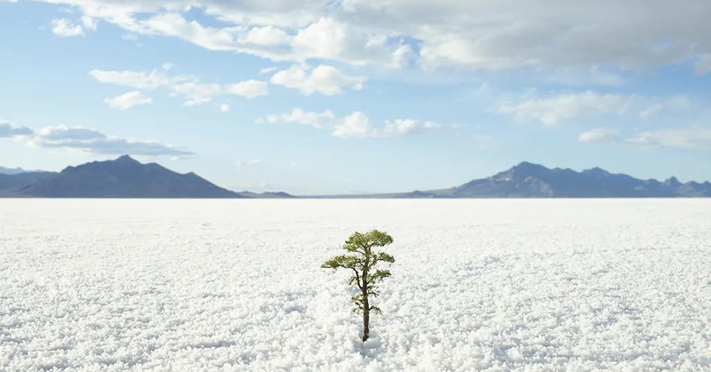 Resilience-plant-in-snow-FB-GettyImages-82848840.jpg