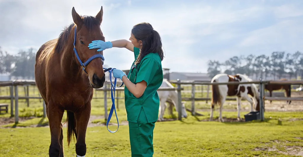 Horse-GettyImages-1356555983.jpg