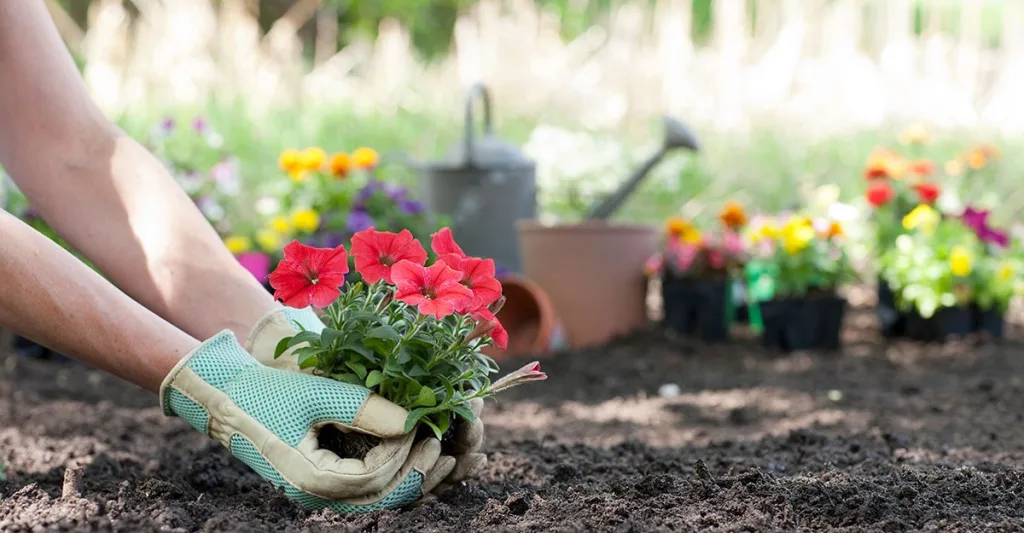 Planting-flowers-GettyImages-1216705428.jpg