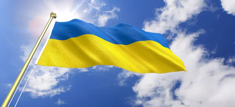 Ukraine Flag