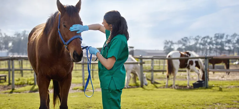 Horse-GettyImages-1356555983.jpg