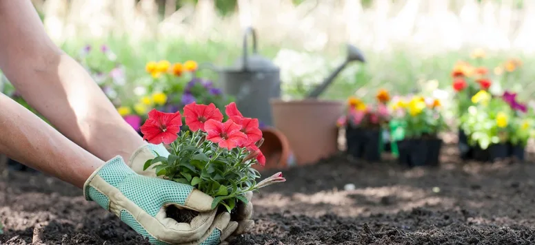 Planting-flowers-GettyImages-1216705428.jpg