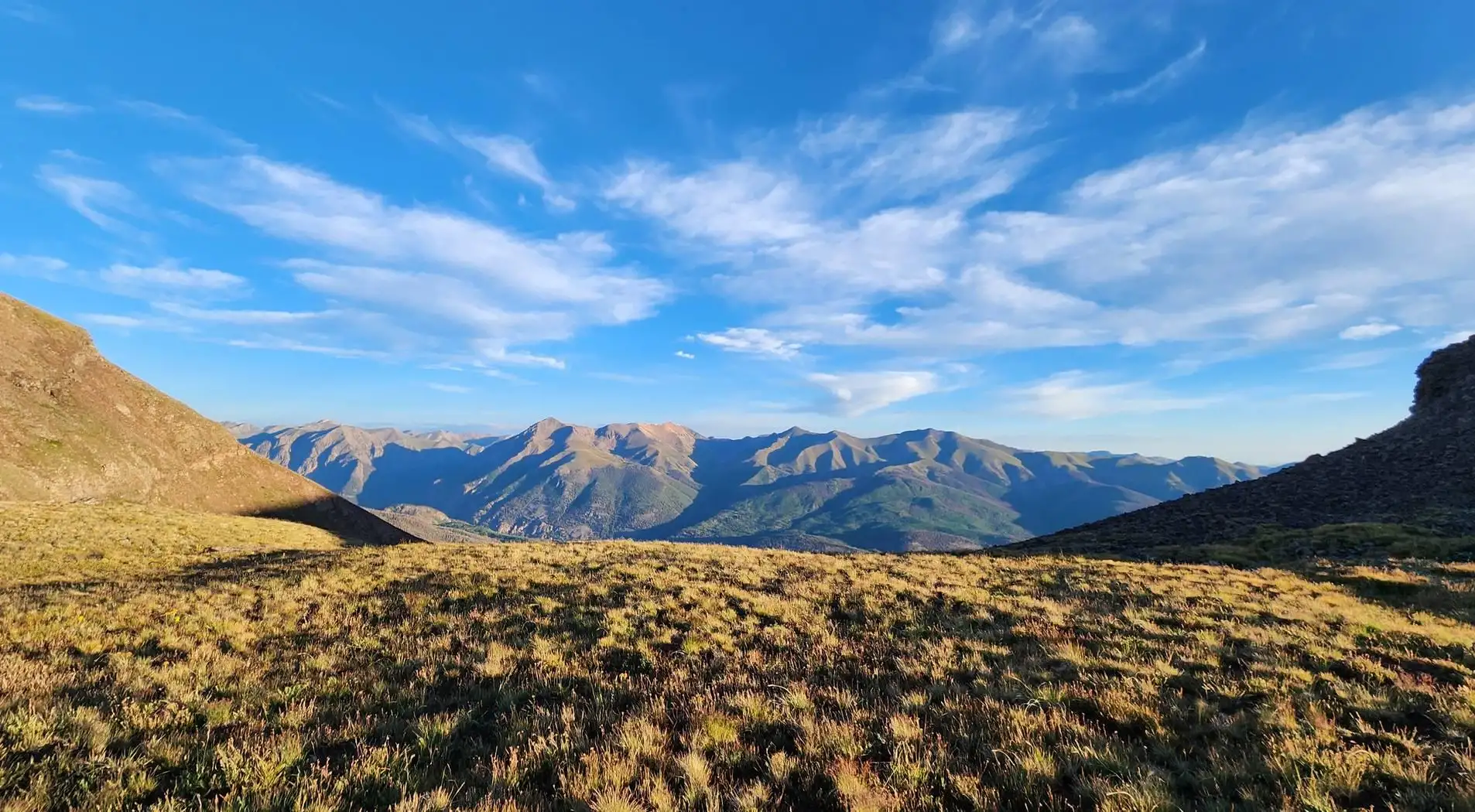 A scene of the type of land that could go up for sale under a national housing emergency