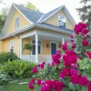 Should you get a conventional, VA, or FHA cash-out refinance?