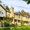 Modern townhouses with yellow exteriors, surrounded by lush greenery and trees under a clear sky.