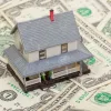 Cash-out refinance is used to buy an investment property