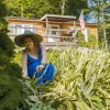 New homeowner gardening in front of a manufactured home in a rural setting