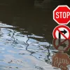 What homebuyers need to know about flood insurance: homeowners insurance