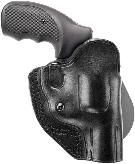 Open Top Paddle Holster