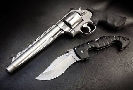 Smith & Wesson Model 929 - 6.5"