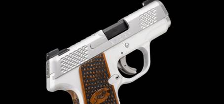 Kimber Evo