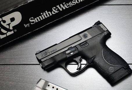 Smith & Wesson M&P Shield M2.0 - 3.1"