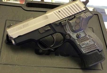 Sig Sauer P224