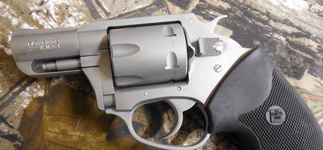 Charter Arms Pathfinder - 4.2"