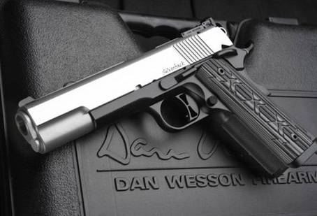 Dan Wesson Silverback - 5"