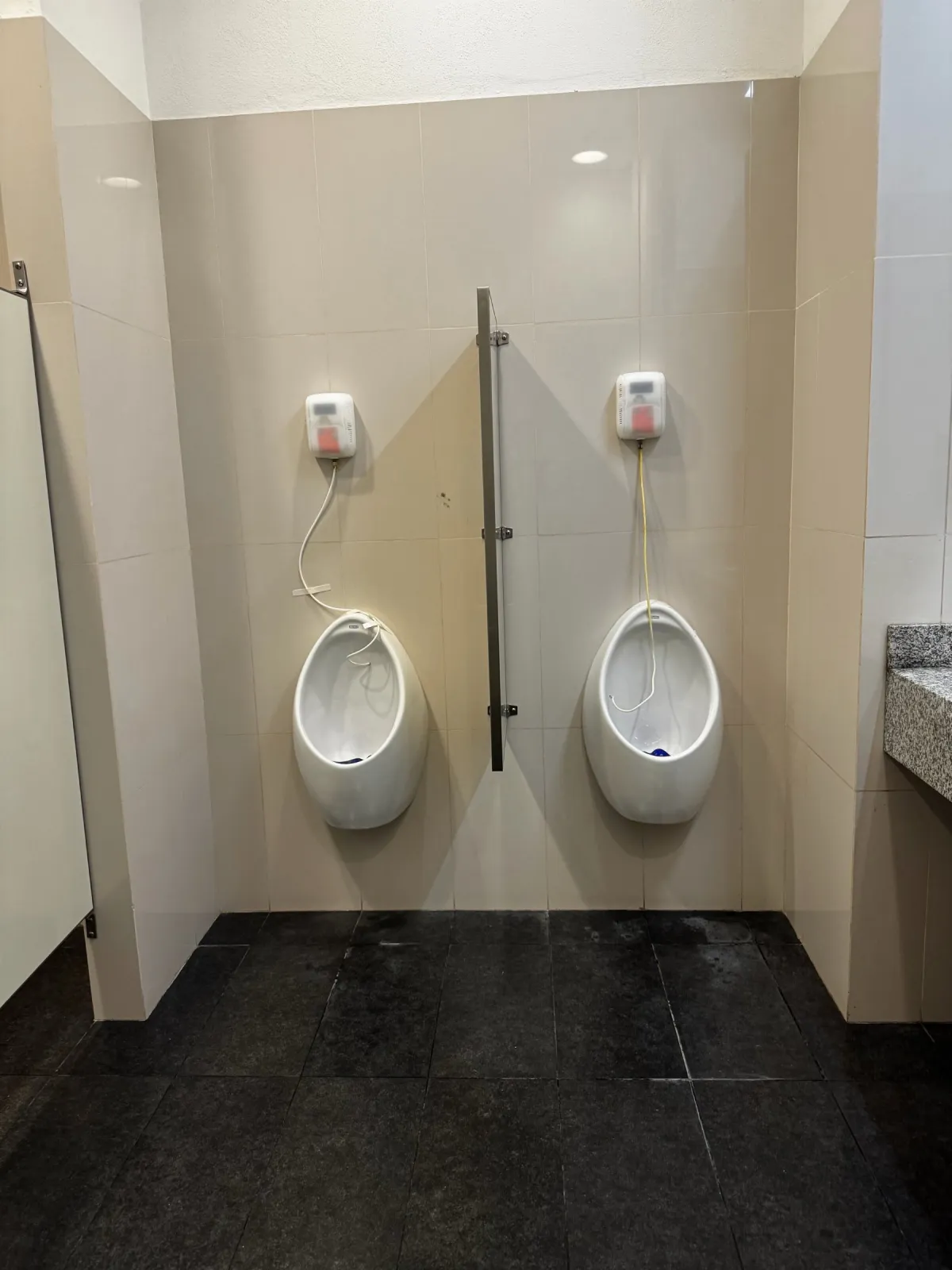 Baño de Legislatura