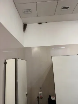 Foto del baño de Legislatura