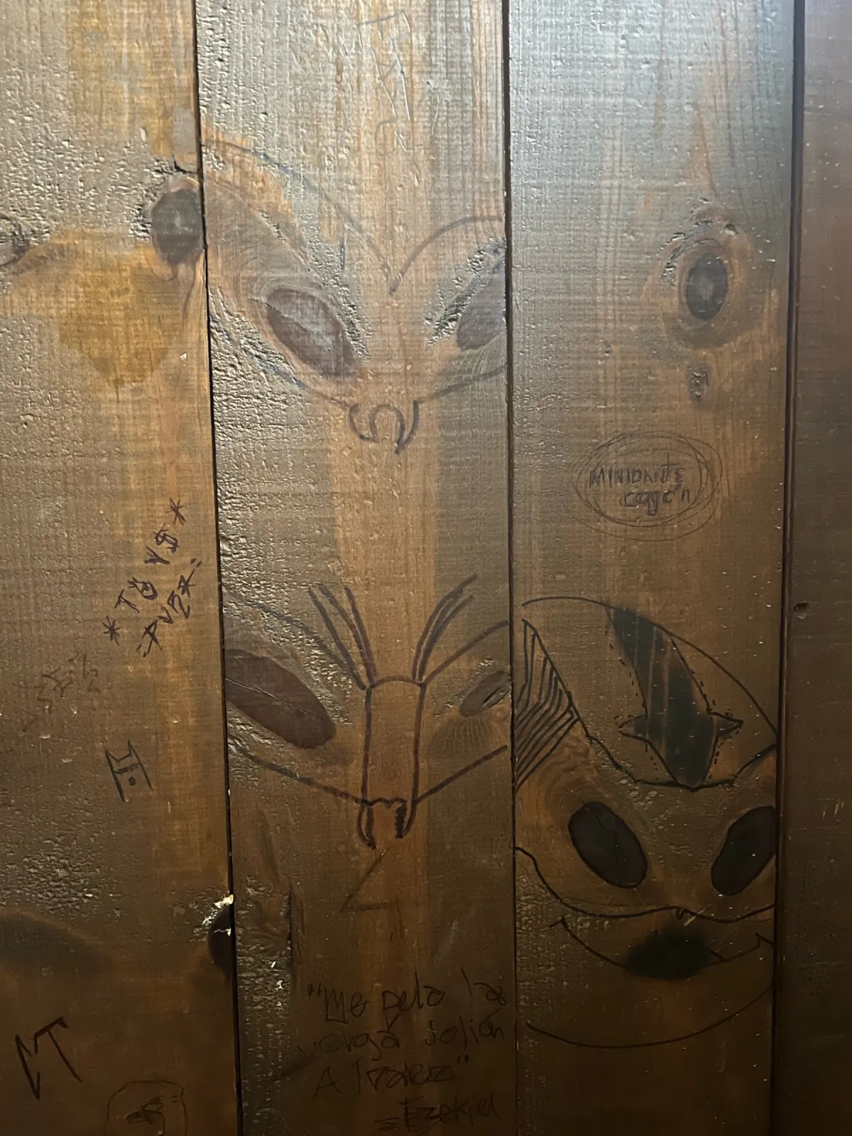 Baño de Mercado Cañitas