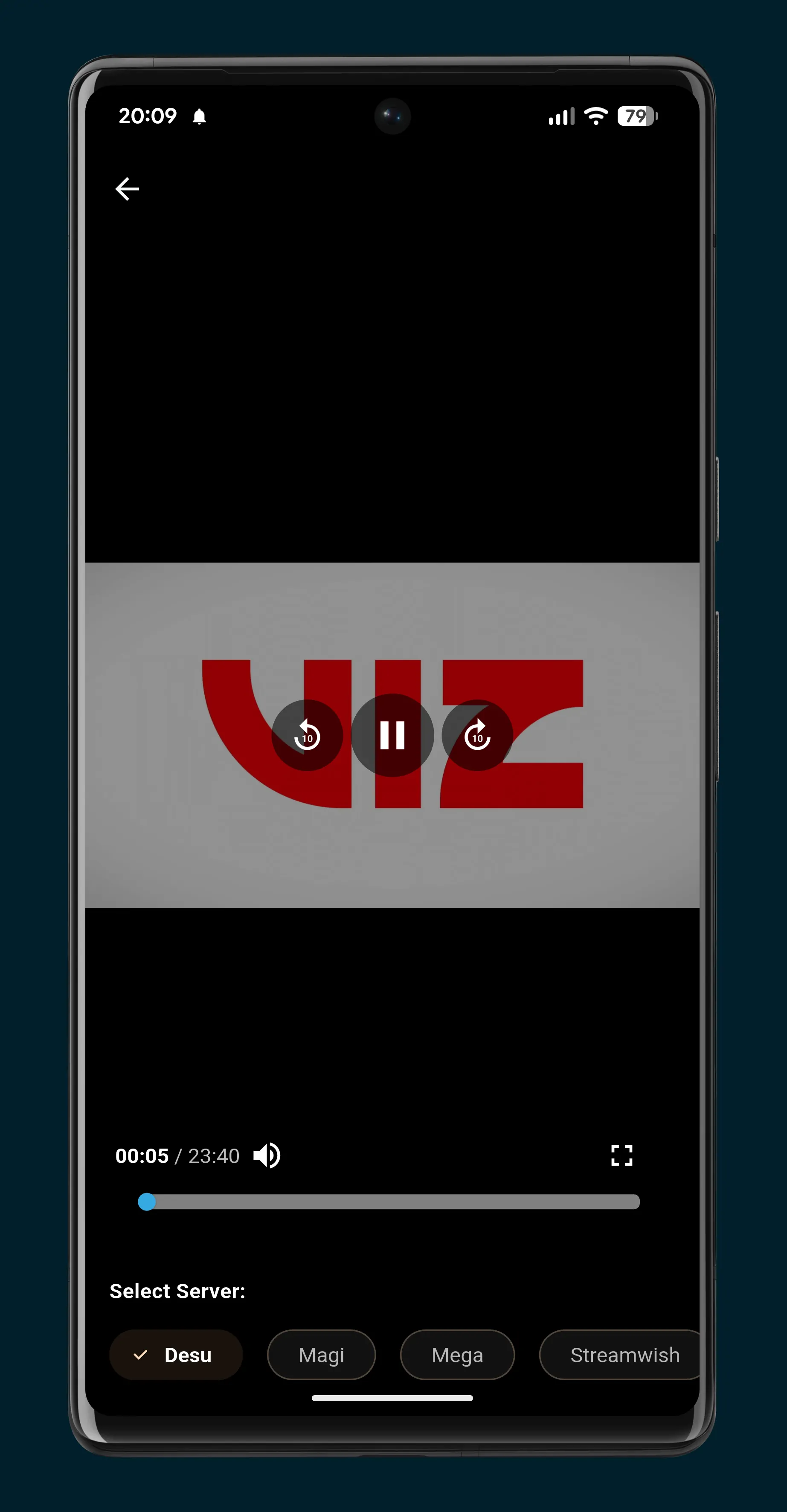 Opciones de descarga