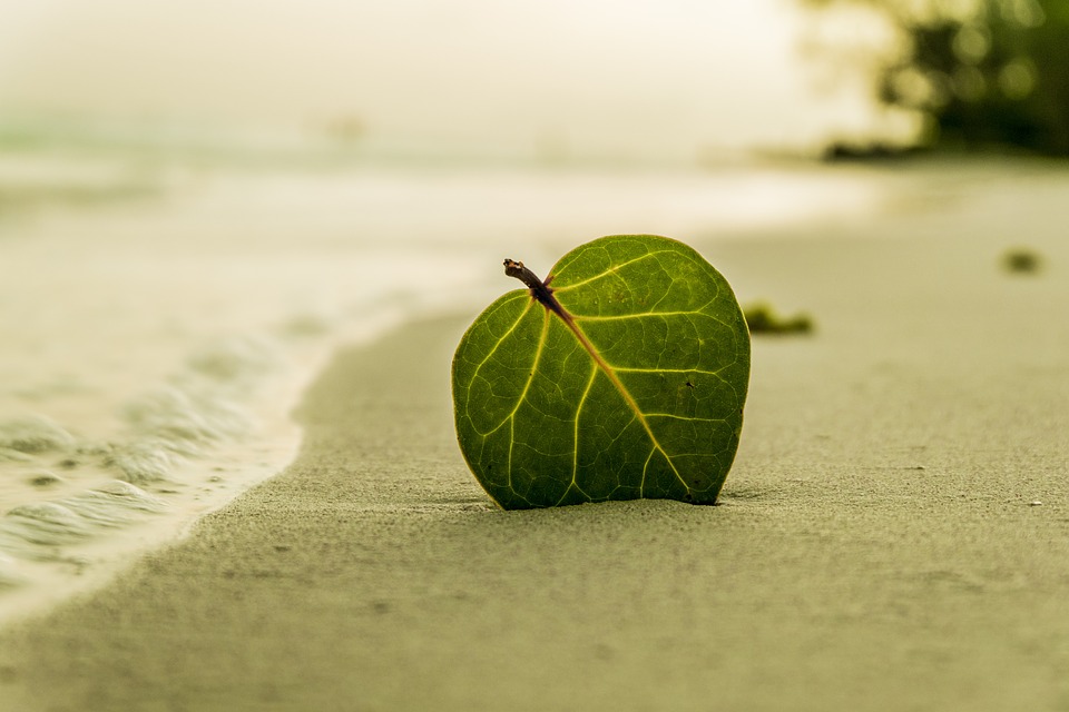 Cómo meditar para relajarse