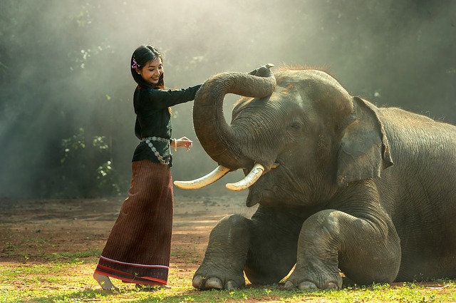 Niña con elefante 